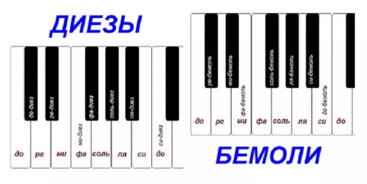Noter til synthesizer: Sådan lærer du en stram læsning på novice numre? Lette noter til spillet af sange begyndere, placering noter 27086_11