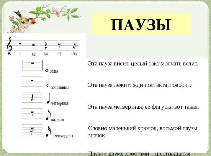 Бележки за синтезатора: Как да научите плътна грамотност върху номера на новаците? Светли бележки за играта на песни начинаещи, бележки за местоположението 27086_14