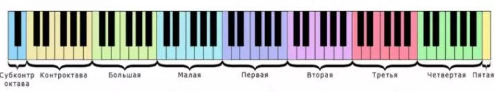 Notas para o sintetizador: como aprender unha alfabetización axustado nos números novatos? Notas de luz para o xogo de cancións principiantes, notas de localización 27086_5