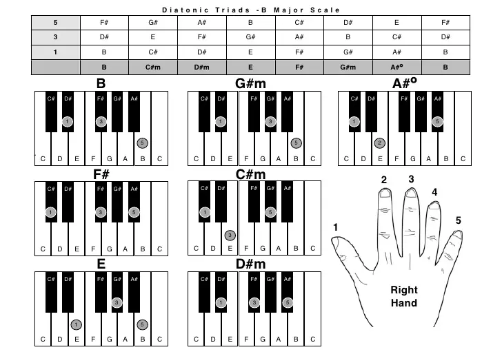Synthesizer'teki akorlar: Yeni başlayanlar için resimlerde akorlar. Anahtarları sol el nasıl oynanır? Basit ve hafif akorların atamaları 27091_5