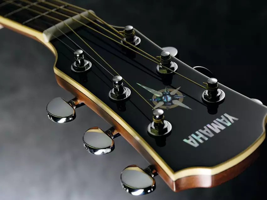 Elektro-akustické gitary YAMAHA: Charakteristiky 12-reťazec Guitar CPX-700, A1M a FSX315C, Iné 27099_3