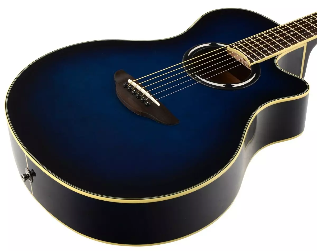 Электро-акустик Гитара Ямаха: 12 катлы гитара CPX-700, A1M һәм FSX315c характеристикалары, бүтән 27099_8