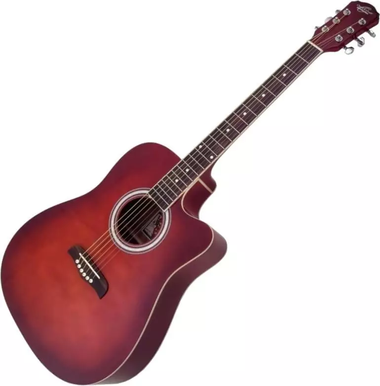 Oscar Schmidt Gitar: Gitarlar Washburn, Akustik, Elektroakustik ve Klasik Modeller, Seçme Özellikleri ve İpuçları 27100_10