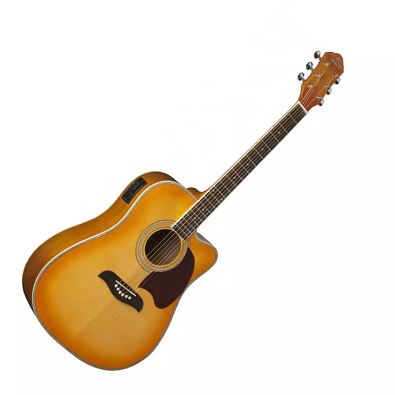 Oscar Schmidt Guitars: Guitars site na Soluicbur, Acoustic, ụdị electrouse na kpochapụwo, atụmatụ na ndụmọdụ maka ịhọrọ 27100_6