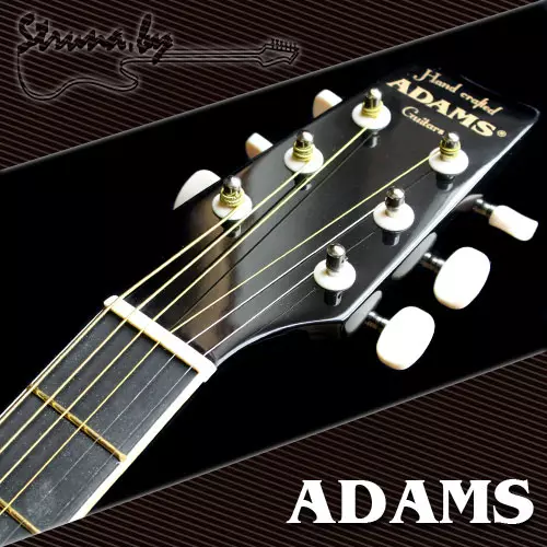Адамс гитара: акустикалык жана классикалык кол 1852-жылдан бери, электр акустикалык Rb 5000 BKS жана башка моделдер, өлкө 27106_10