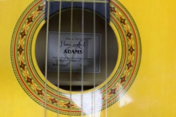 Adams gitar: akustik dan tangan klasik dibuat sejak 1852, akustik listrik RB 5000 BKS dan model lain, negara 27106_6