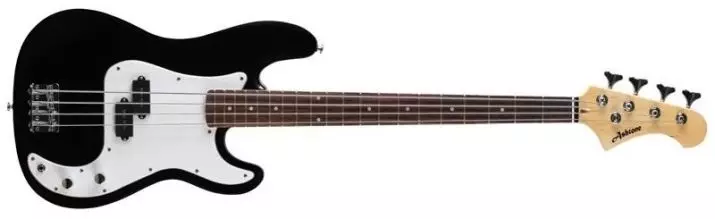 Ashtone Gitarrer: Elektrisk gitarr ST-200 BLs och ST-100 BLS, BAS-GUITAR AB-11 BK och AB-12 BK, AB-10 BK och andra modeller 27108_13