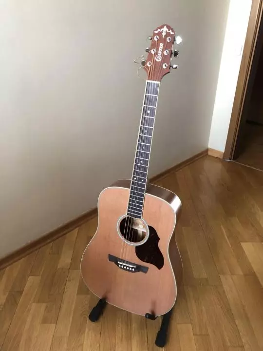 Crafter kitare: akustični in elektroakustični, D-7 / N in HD-250 CE / N Električna kitara, pregled drugih korejskih modelov 27116_10