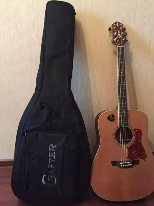 Gitar Staf: Akustik sareng élustentik, D-7 / n sareng HD-250 CE / N Gitar, gambaran tina model Korea sanés 27116_16