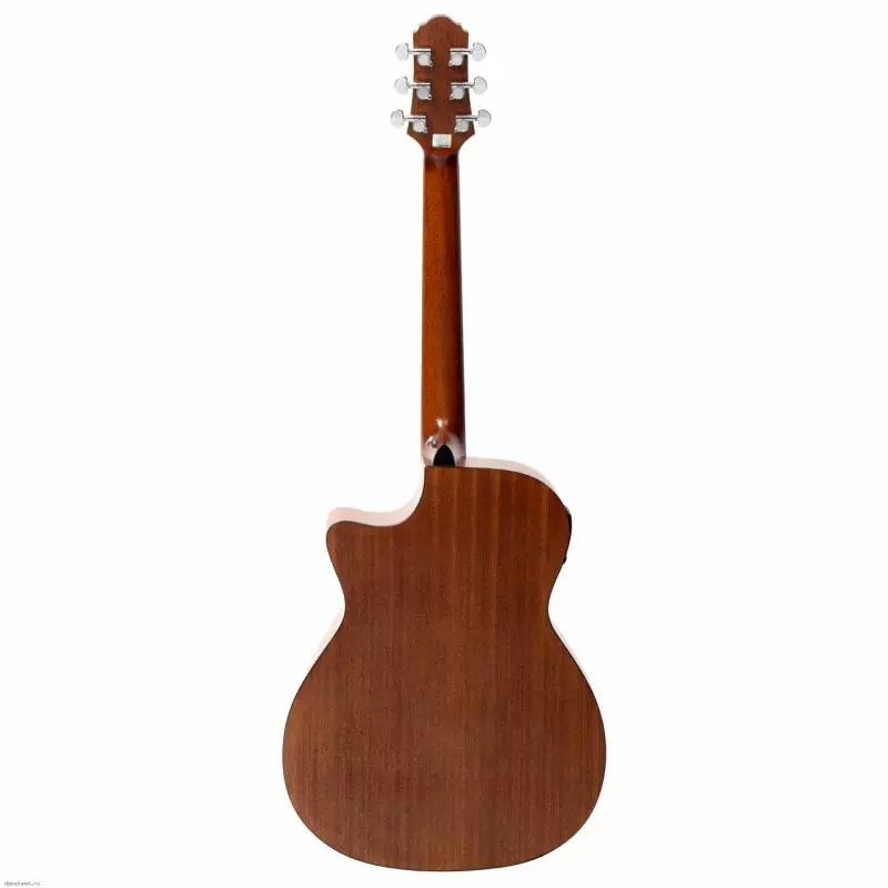 Crafter kitare: akustični in elektroakustični, D-7 / N in HD-250 CE / N Električna kitara, pregled drugih korejskih modelov 27116_23