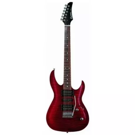 Crafter kitare: akustični in elektroakustični, D-7 / N in HD-250 CE / N Električna kitara, pregled drugih korejskih modelov 27116_29