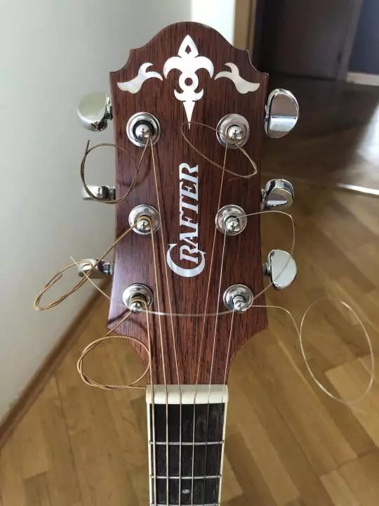 Crafter kitare: akustični in elektroakustični, D-7 / N in HD-250 CE / N Električna kitara, pregled drugih korejskih modelov 27116_8