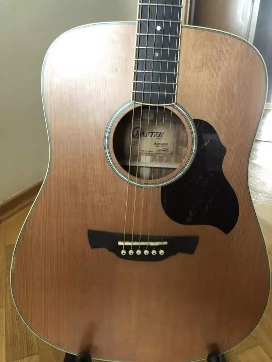 Gitar Staf: Akustik sareng élustentik, D-7 / n sareng HD-250 CE / N Gitar, gambaran tina model Korea sanés 27116_9