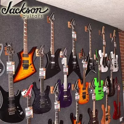 Guitarjackson: Elgitarrer och basgitarrer, akustiska 