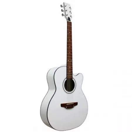 Trembita gitaralar (18 şəkil): modellər 6 və 12 strings, akustik və digər gitaralar, xüsusiyyətləri və seçim tips 27120_10