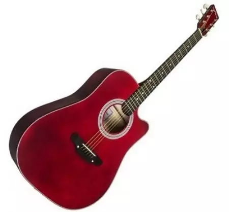 Guitars Trembita (18 llun): Modelau 6 a 12 llinynnau, acwstig a gitarau eraill, nodweddion ac awgrymiadau dethol 27120_11