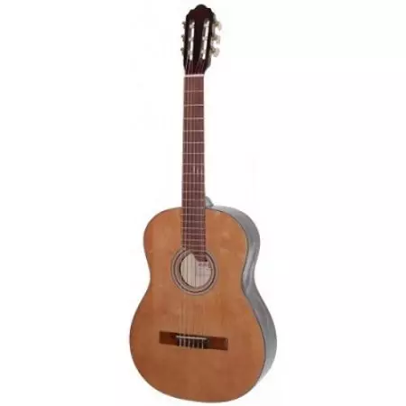Guitars (18 Foto): model 6 lan 12 senar, akustik lan gitar, fitur lan tips pilihan liyane 27120_12