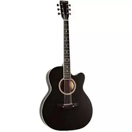 Gitar Transmbade (18 foto): Modèl 6 ak 12 strings, acoustic ak lòt gitar, karakteristik ak konsèy seleksyon 27120_15