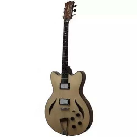 Gitar Transmbade (18 foto): Modèl 6 ak 12 strings, acoustic ak lòt gitar, karakteristik ak konsèy seleksyon 27120_16