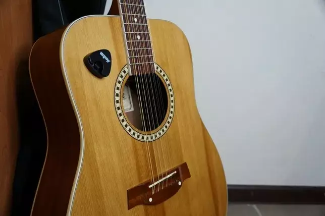 Guitars (18 Foto): model 6 lan 12 senar, akustik lan gitar, fitur lan tips pilihan liyane 27120_17