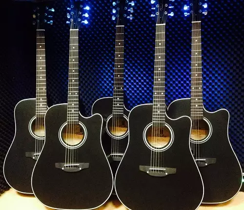 Treemita Guitars (18 ပုံ) - မော်ဒယ်လ် 6 နှင့်ကြိုးများ, acoustic နှင့်အခြားဂစ်တာနှင့်အခြားဂစ်တာများ, အင်္ဂါရပ်များနှင့်ရွေးချယ်ခြင်းဆိုင်ရာအချက်များ 27120_5