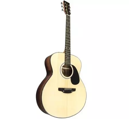 Trembita吉他（18张照片）：型号6和12个弦，声学和其他吉他，功能和选择提示 27120_8