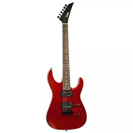 Zombie Guitars: Elechitars sy ny bass gitara, EDG-45 ary JS-1, V-165 sy RMB-50, Models hafa 27124_11