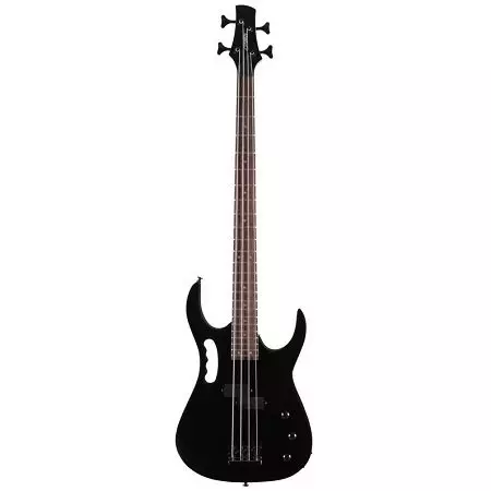 Zombie Gitars: Elechitars and Bass Gitaren, EDG-45 en JS-1, V-165 en RMB-50, andere modellen 27124_13