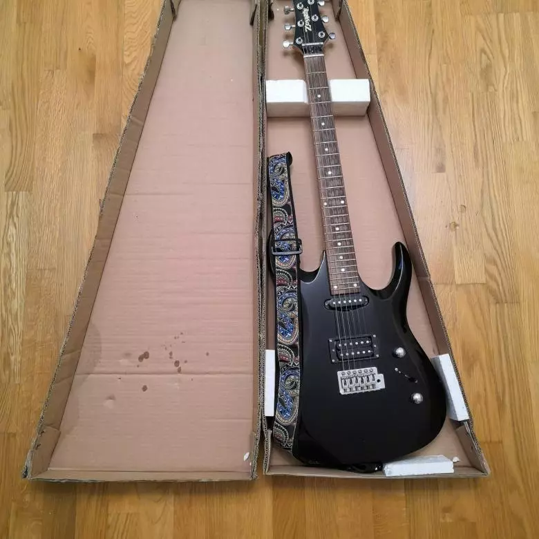Zombie կիթառներ. Elechitars եւ Bass Guitars, EDG-45 եւ JS-1, V-165 եւ RMB-50, Այլ մոդելներ 27124_8