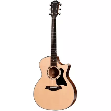 Taylor Guitars: Acoustic na Electro-Acoustic, na Nylon na masharti mengine, 614CE na Academy 12, GS Mini na 814CE TSB, mifano mingine 27127_10