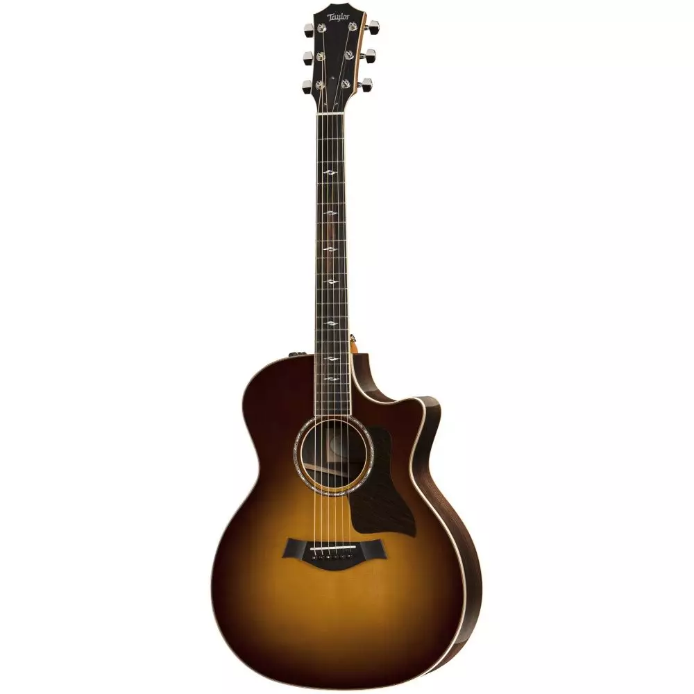 Taylor Guitars: Acoustic na Electro-Acoustic, na Nylon na masharti mengine, 614CE na Academy 12, GS Mini na 814CE TSB, mifano mingine 27127_13