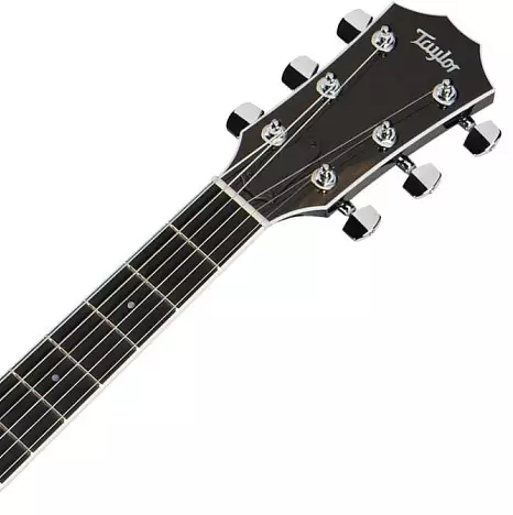 Taylor Guitars: Acoustic na Electro-Acoustic, na Nylon na masharti mengine, 614CE na Academy 12, GS Mini na 814CE TSB, mifano mingine 27127_19
