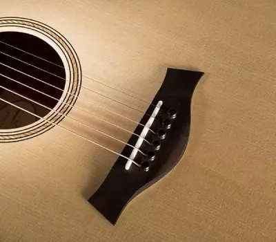 Gitary Taylor: akustyczne i elektroakustyczne, z nylonem i innymi strunami, 614 i akademią 12, GS mini i 814 tsb, inne modele 27127_4