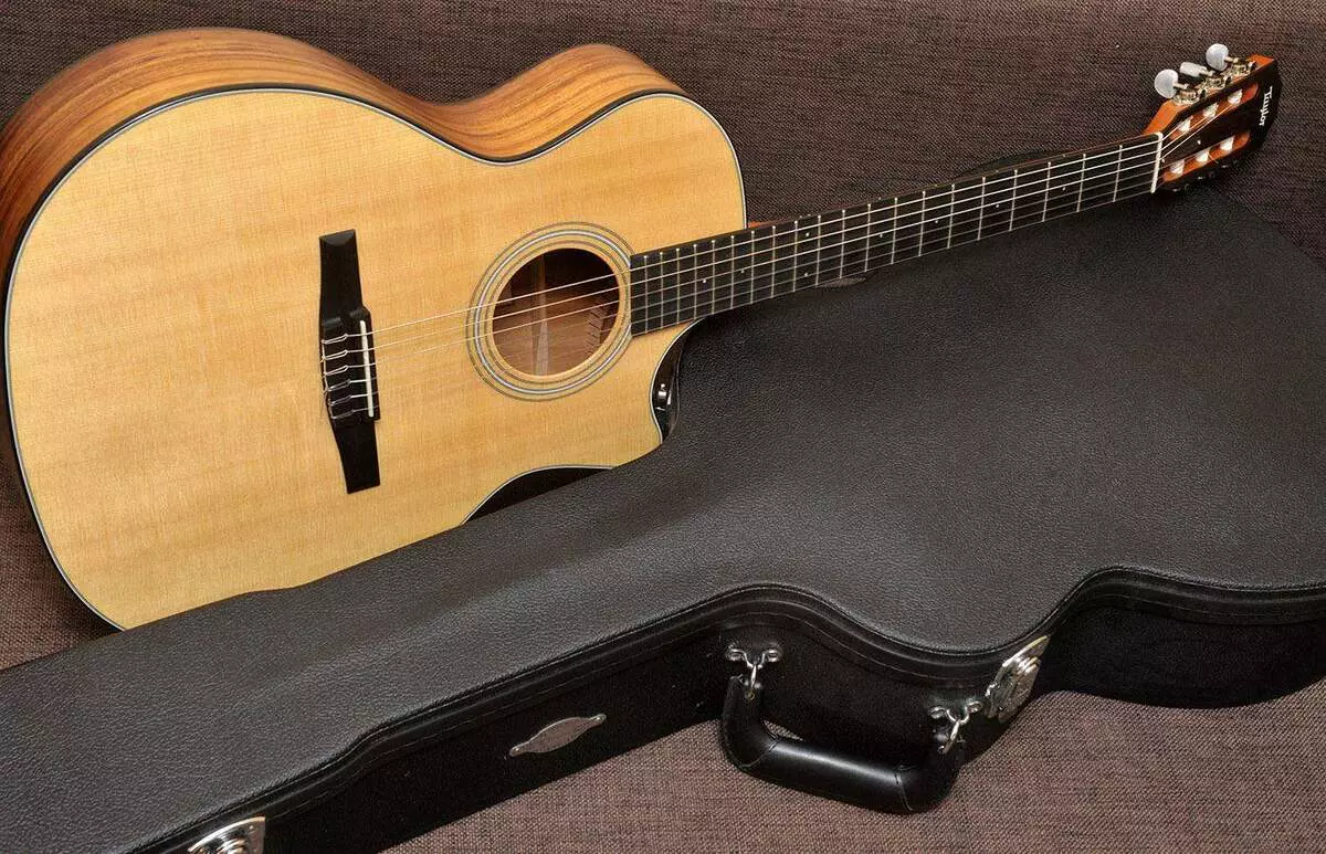 Taylor Guitars: Acoustic na Electro-Acoustic, na Nylon na masharti mengine, 614CE na Academy 12, GS Mini na 814CE TSB, mifano mingine 27127_5