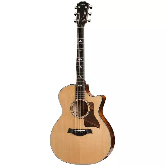 Taylor Guitars: Acoustic na Electro-Acoustic, na Nylon na masharti mengine, 614CE na Academy 12, GS Mini na 814CE TSB, mifano mingine 27127_6