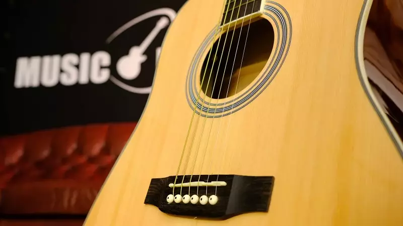Фабио китари: електрически китари и Ukulele от производителя, ST100, LP02 и XU21-11, акустични и класически модели, функции и съвети за избора