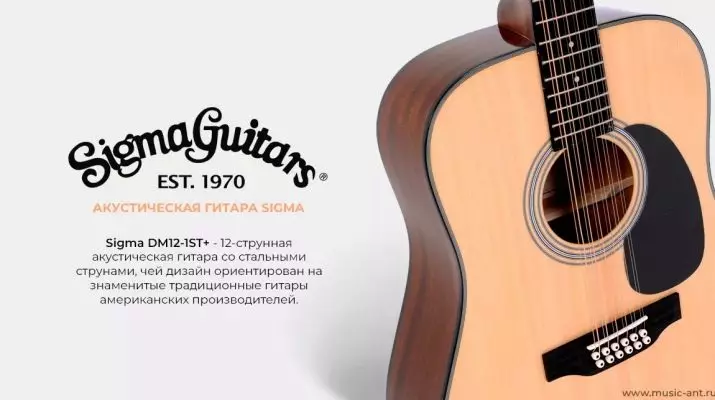 SIGMA gitary akustyczne: modele, modele elektryczne i klasyczne Producent, DM-ST + i DM-1ST, GMC-Ste + i inne gitary 27130_14