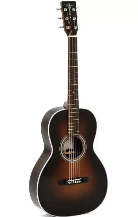 Aligma Guitars: Model mai rauni, mai sarrafa lantarki da na yau da kullun, DM-ST + da DM-1st, GMC-Ste + da sauran guitars 27130_16
