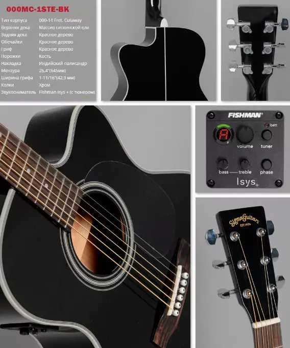 Aligma Guitars: Model mai rauni, mai sarrafa lantarki da na yau da kullun, DM-ST + da DM-1st, GMC-Ste + da sauran guitars 27130_20