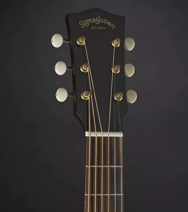 Aligma Guitars: Model mai rauni, mai sarrafa lantarki da na yau da kullun, DM-ST + da DM-1st, GMC-Ste + da sauran guitars 27130_6