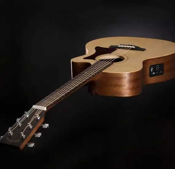 Aligma Guitars: Model mai rauni, mai sarrafa lantarki da na yau da kullun, DM-ST + da DM-1st, GMC-Ste + da sauran guitars 27130_8