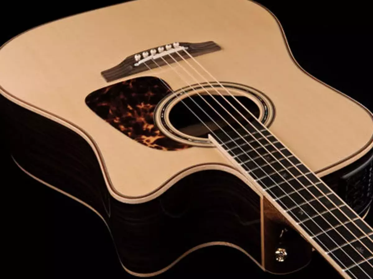 Takamine китари (19 снимки): акустични, електроакустични и класически модели, характеристики и полезни съвети