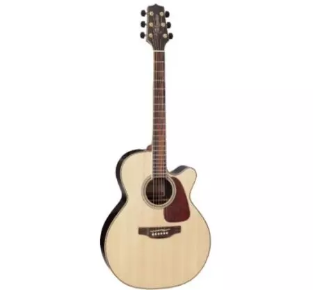 Takamine guitars (19 photos): acoustic, electroacoustic and classic models, features and tips 27132_11