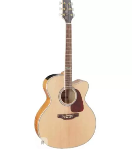 Takamine guitars (19 photos): acoustic, electroacoustic and classic models, features and tips 27132_12