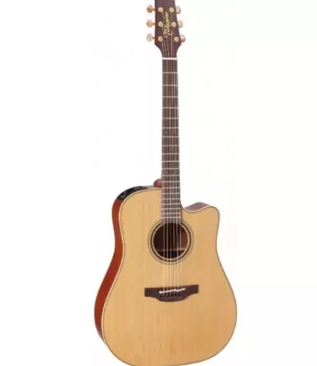 高嶺ギター（19枚の写真）：音響、電気音響および古典的なモデル、特徴とヒント 27132_13