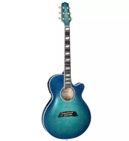 Takamine guitars (19 photos): acoustic, electroacoustic and classic models, features and tips 27132_14