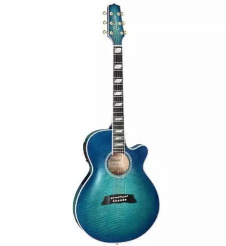 Guitars Takamine (19 รูป): อะคูสติก, อิเล็กโทรซะและโมเดลคลาสสิกคุณสมบัติและเคล็ดลับ 27132_14