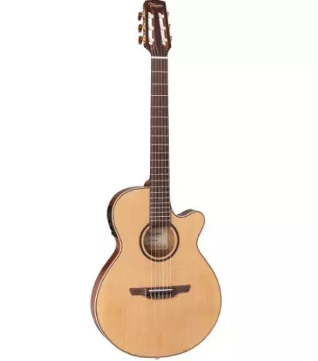 Takamine guitars (19 photos): acoustic, electroacoustic and classic models, features and tips 27132_15