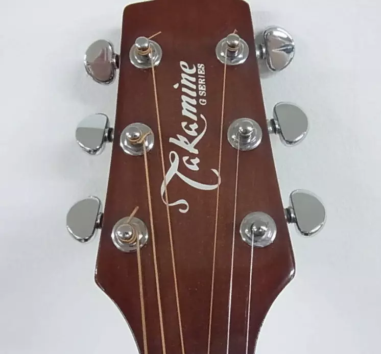 Takamine Guitars (19 ඡායාරූප):, ධ්වනි electroacoustic හා සම්භාව්ය ආකෘති, විශේෂාංග සහ ඉඟි 27132_17