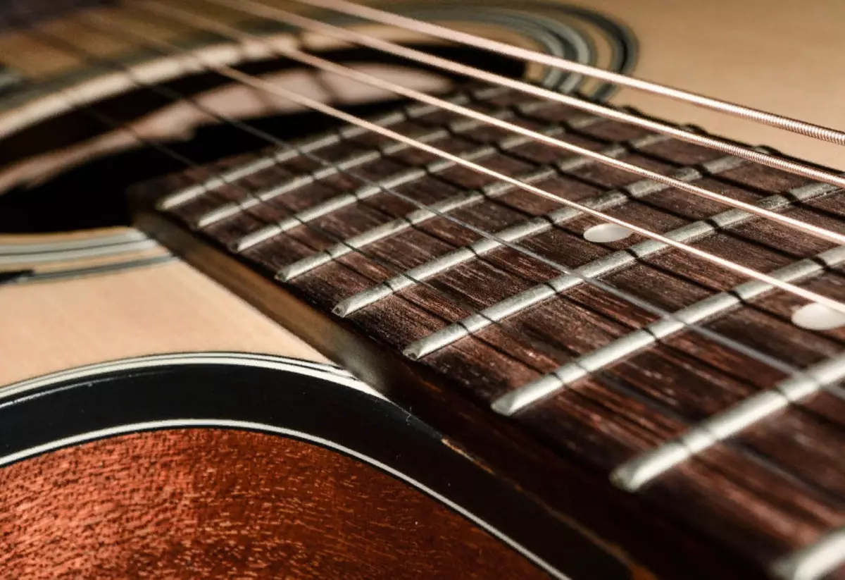 Takamine gitare (19 slike): akustički, elektroakustičkih i klasičnih modela, karakteristike i savjeti 27132_19